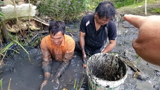 Tác ao thu hoạch cá đồng sau vụ lúa | Minh Tàn Vlog