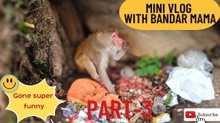 #03 Bandar mama wala mini vlog..#shorts #funny #ytshorts #subscribe