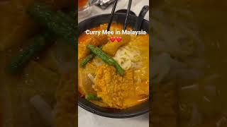 Amazing curry mee in Malaysia❤️❤️😍😍