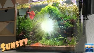 Nano Aquascape Sunset