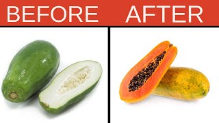 Chef on How to Ripen Papaya Naturally at Home