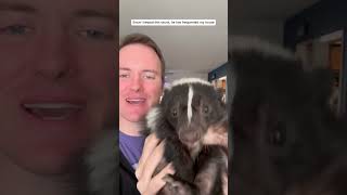 Rescued a trapped skunk and gave it a warm home #animals #animalshorts #shortvideo