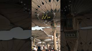 Wo Mera Nabi ha | new naat | heart touching naat #islamicstatus #madina #naat