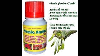 Phân Bón Lá Sinh Học Humic Amino Combi, Kích Ra Rễ Bật Chồi ,chai 50ml 0967 863 963