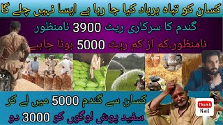 کسانوں کے ساتھ کیا جانے والا ظلم ۔گندم کی قیمت 3900 ہے ۔اور خرچے دیکھیں گندم کی قیمت 5000 ہونی چاہیے