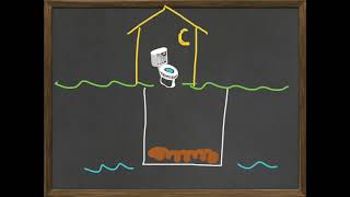 Bio ecobasics intro Tale of two creeks part 2