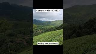 3 Acre tea plantation for sale in Vagamon | 30 Lakhs only | #shorts #vagamonrealestate #realestate