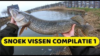 Snoek vissen compilatie #1 ( Pike fishing compilation) (English subtitles)