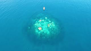 Whale Shark at Hin Luk Bat Rock | Scuba Diving in Koh Chang, Thailand