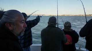 Sturgeon Fishing Trip 3/31/20