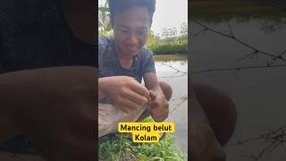 Mancing belut kolam#part14 #kolam#mancing#belut#shortvideo