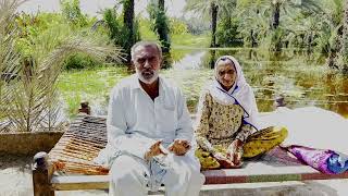 Older people in #Pakistanfloods: water-borne diseases