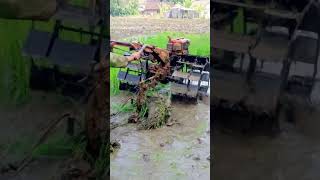 Traktor Quick g1000 Lahan Cukup Air 1 @faviansakhi