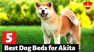 5 Best Dog Beds for Akita