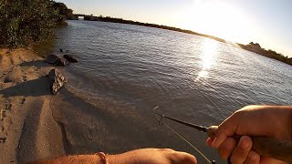 Una Tarde de Pesca Divertida | Pesca de Orilla