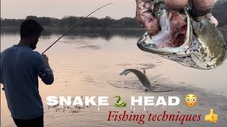 Snake head fishing techniques | मरल मारने के तकनीक | #fishing #snakehead #fishingtechniques