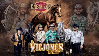 Los Viejones de Linares Corridos De Caballos Vol 1