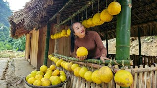 Harvesting grapefruit goes to market sell - How to preserve grapefruit | Ly Thi Tam