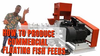 How To Produce COMMERCIAL FLOATING FISH FEED using LIMA Complete Fish Feed Extruder Line | by Bspice