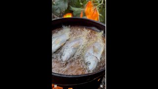 Let's Fry Fish outside