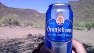 Oranjeboom Beer Review (#7)