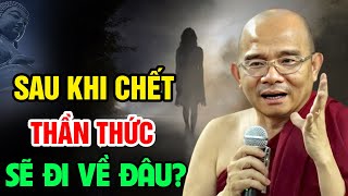 Sau Khi CHẾT Thì Thần Thức Sẽ Đi Về Đâu? Giải Đáp Thắc Mắc | Sư Toại Khanh - Sư Giác Nguyên Giảng