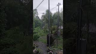 Malamig na hapon #malakasnaulan #rainyafternoon   #rainyday #shortvideo