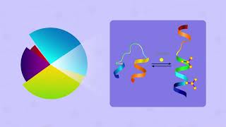 KANPHOS: Novel Database for Phosphorylation Patterns of Proteins in Brain Cells