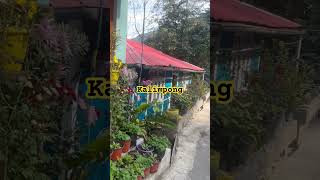 Kalimpong #kalimpongvlog #westbengaltourism #offbeatnorthbengal #hills #travel #solotravel