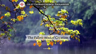 സൃഷ്ടിയുടെ പതീതാവസ്ഥ | The Fallen-ness of Creation | February 04, 2024