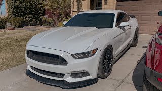 DROPPING MY MUSTANG OFF FOR AN ALIGNMENT + WICKER BILL SCRATCH REMOVAL!