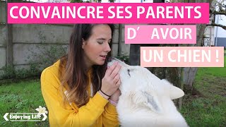 CONVAINCRE SES PARENTS D'AVOIR UN CHIEN - PART 3 ✿ EnjoyingLife