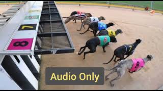 Warragul greyhounds Thursday, October 3rd 2024 - Race 8