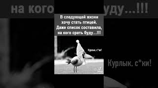 Штучка еще та😁 #юмористическийконтент #кино #фильм #смешноевидео