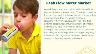 Peak Flow Meter Market