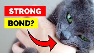 The Real Reasons Your Cat Bites You (Hint: It’s Not Always Bad!)