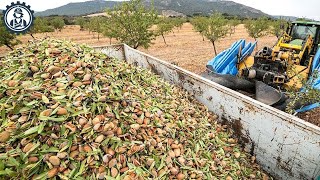 Surprised By 65 Food Processing Equipment Operating At A Crazy Level ▶105