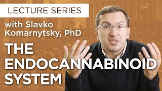 What Is The Endocannabinoid System?