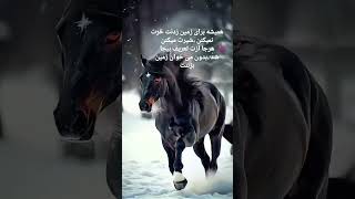 متوجه باشین