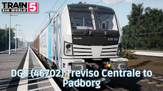 DGS (46702) Treviso Centrale to Padborg - Kinzigtalbhan - BR 193 - #TrainSimWorld5