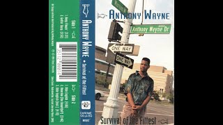 Anthony Wayne - Amerika (The Beautiful?)