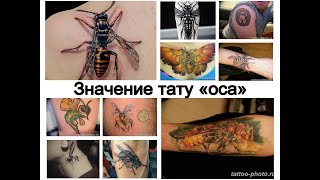 Значение тату оса - информация и фото примеры рисунков тату для сайта tattoo-photo.ru