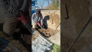 #concretelifting Removing Roots To Level Concrete Walkway!  #concreteleveling