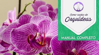 Curso de Orquídeas  - Manual Completo Como Cuidar de Orquídeas