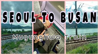 TRAIN TO BUSAN [Mugunghwa Train] | Solo Travel (Summer in Korea)