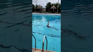 How to Lose Belly Fat Swimming #healthylifestyle #shorts #viralvideochallenge