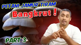 Mengapa Petani Jamur Tiram Gulung Tikar ? Part 3