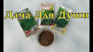 Секреты выращивания УКРОПА🌱🌱🌱 Сеем прямо под снег❄❄❄