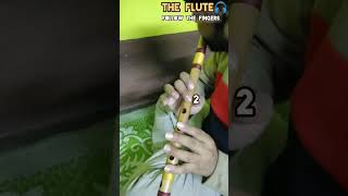 Tenu dhoop lageya ve||Flute lesson