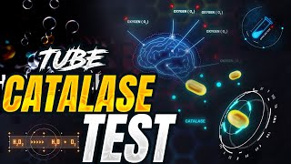 Animated Tube catalase test procedure | Principle | Requirements | Discussion of tube catalase test